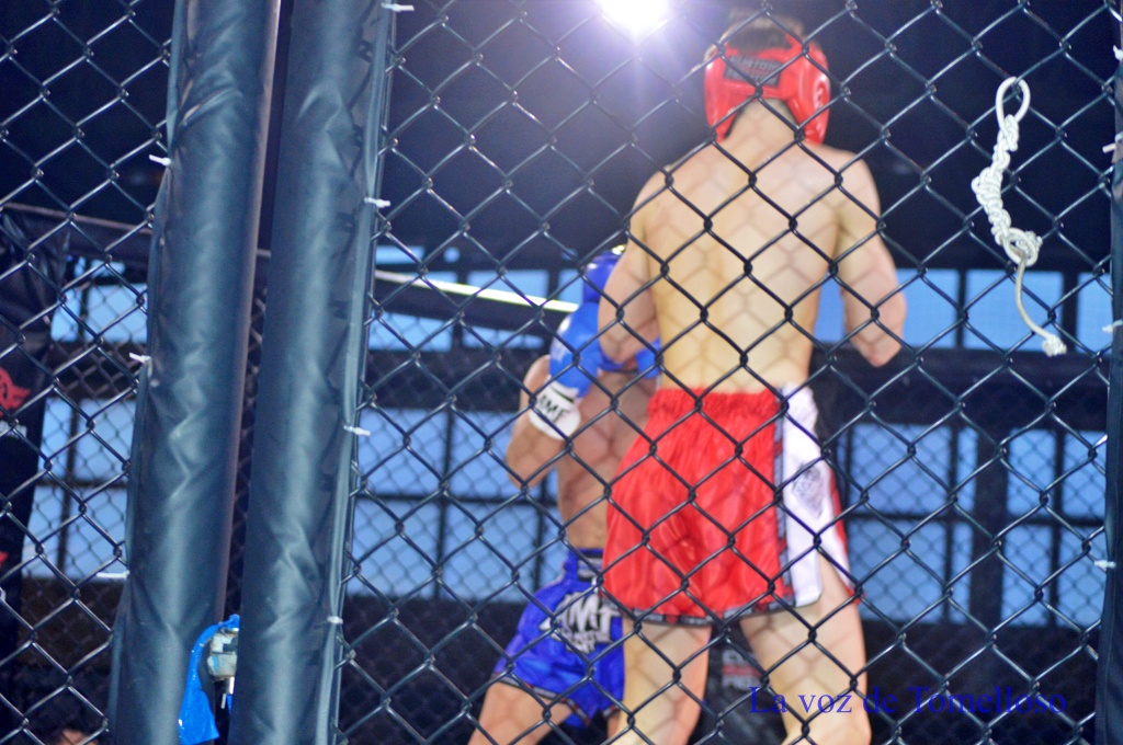 ob.imagen.Descripcion