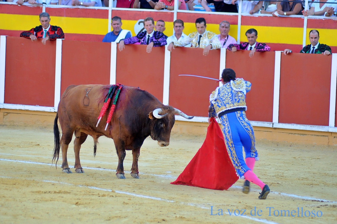 ob.imagen.Descripcion