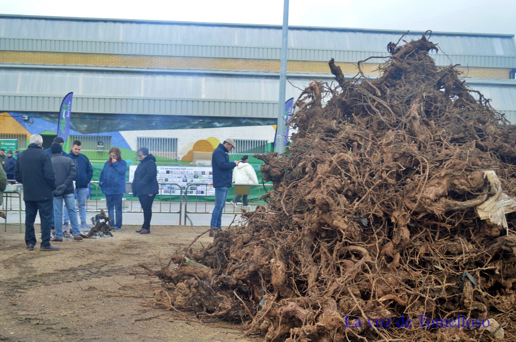 ob.imagen.Descripcion