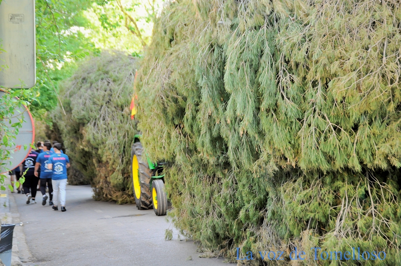 ob.imagen.Descripcion