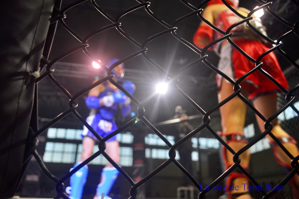 ob.imagen.Descripcion