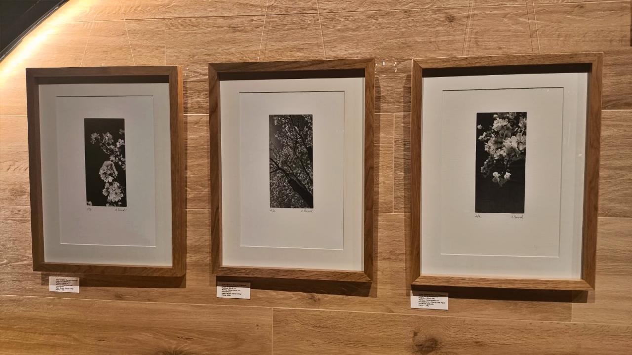 ob.imagen.Descripcion