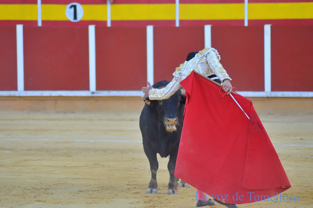 ob.imagen.Descripcion