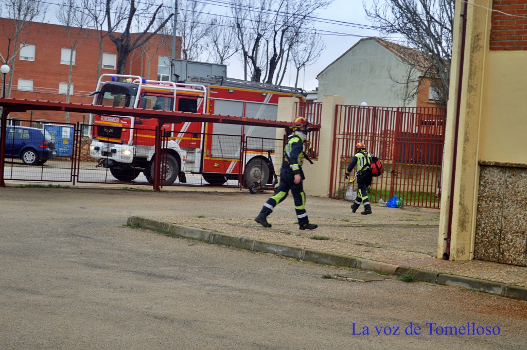 ob.imagen.Descripcion