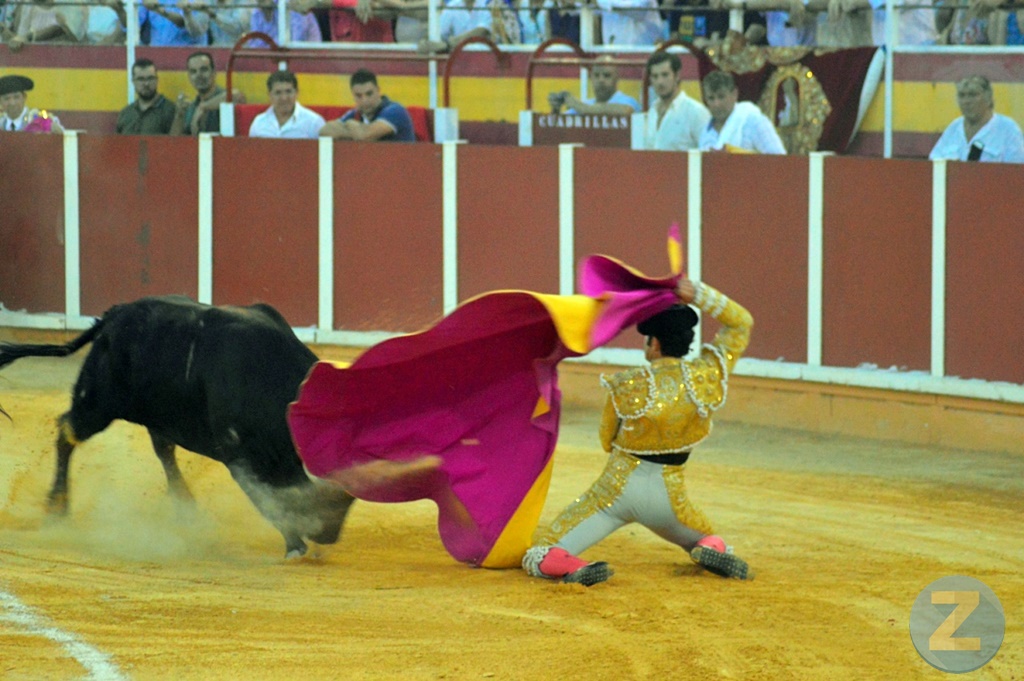 ob.imagen.Descripcion