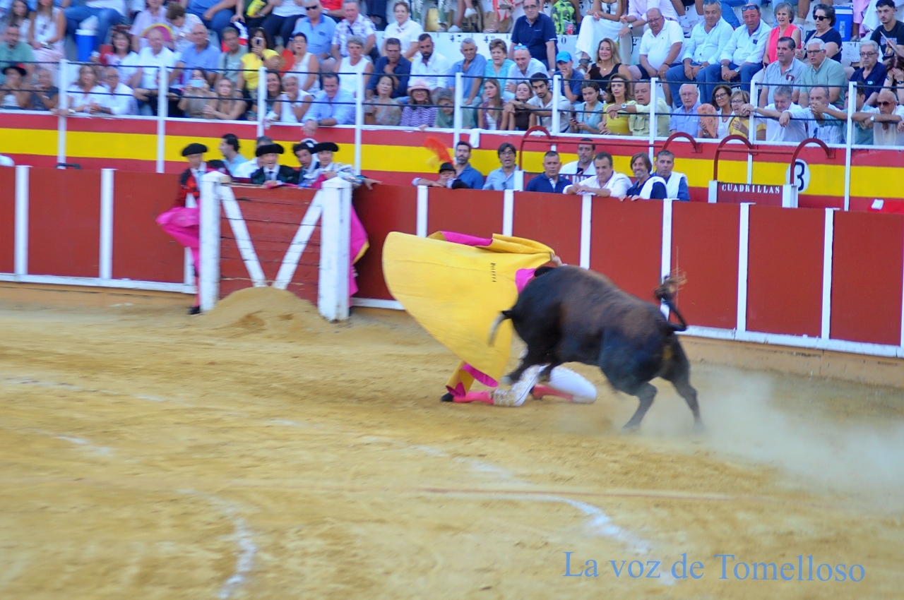 ob.imagen.Descripcion