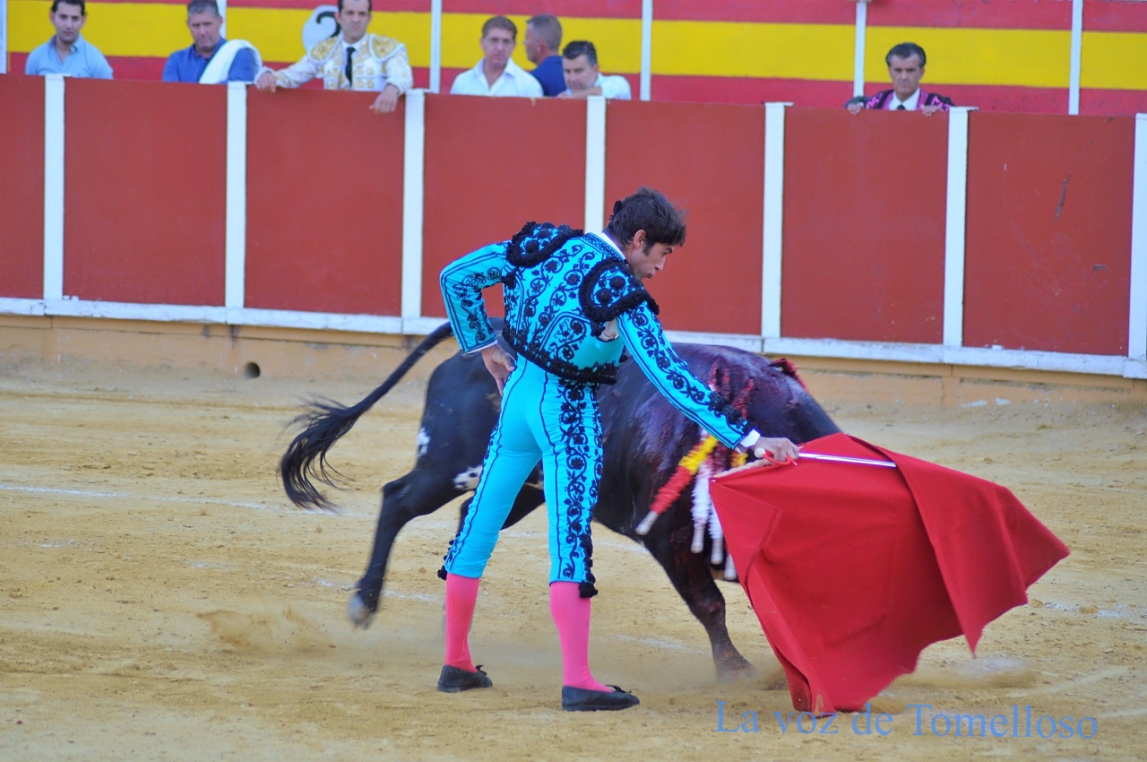 ob.imagen.Descripcion