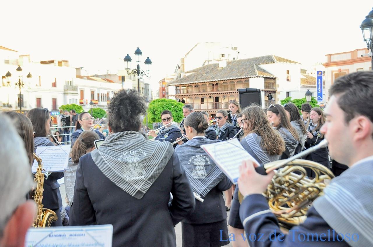 ob.imagen.Descripcion