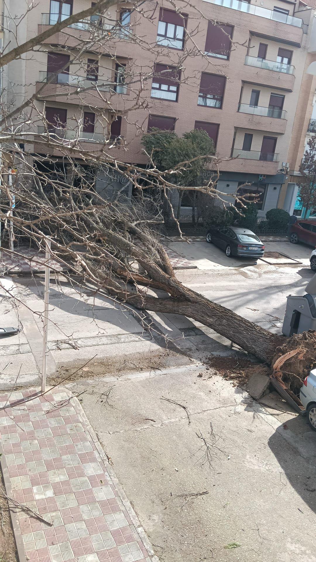 ob.imagen.Descripcion