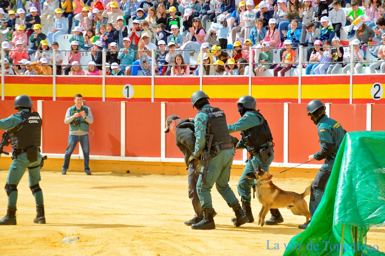 ob.imagen.Descripcion