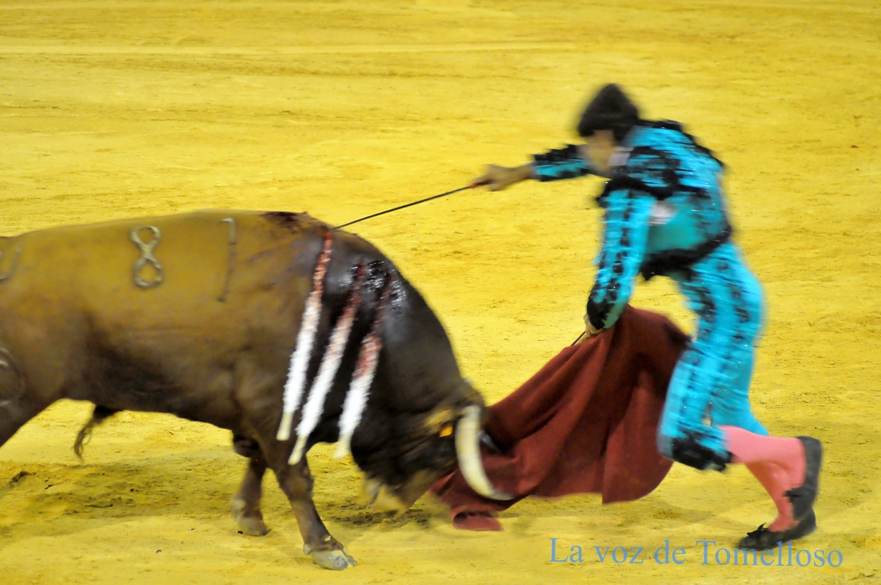 ob.imagen.Descripcion