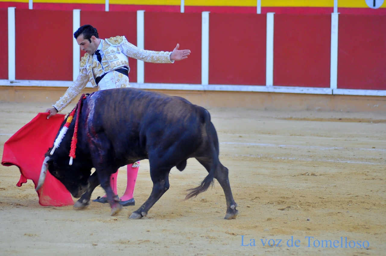 ob.imagen.Descripcion