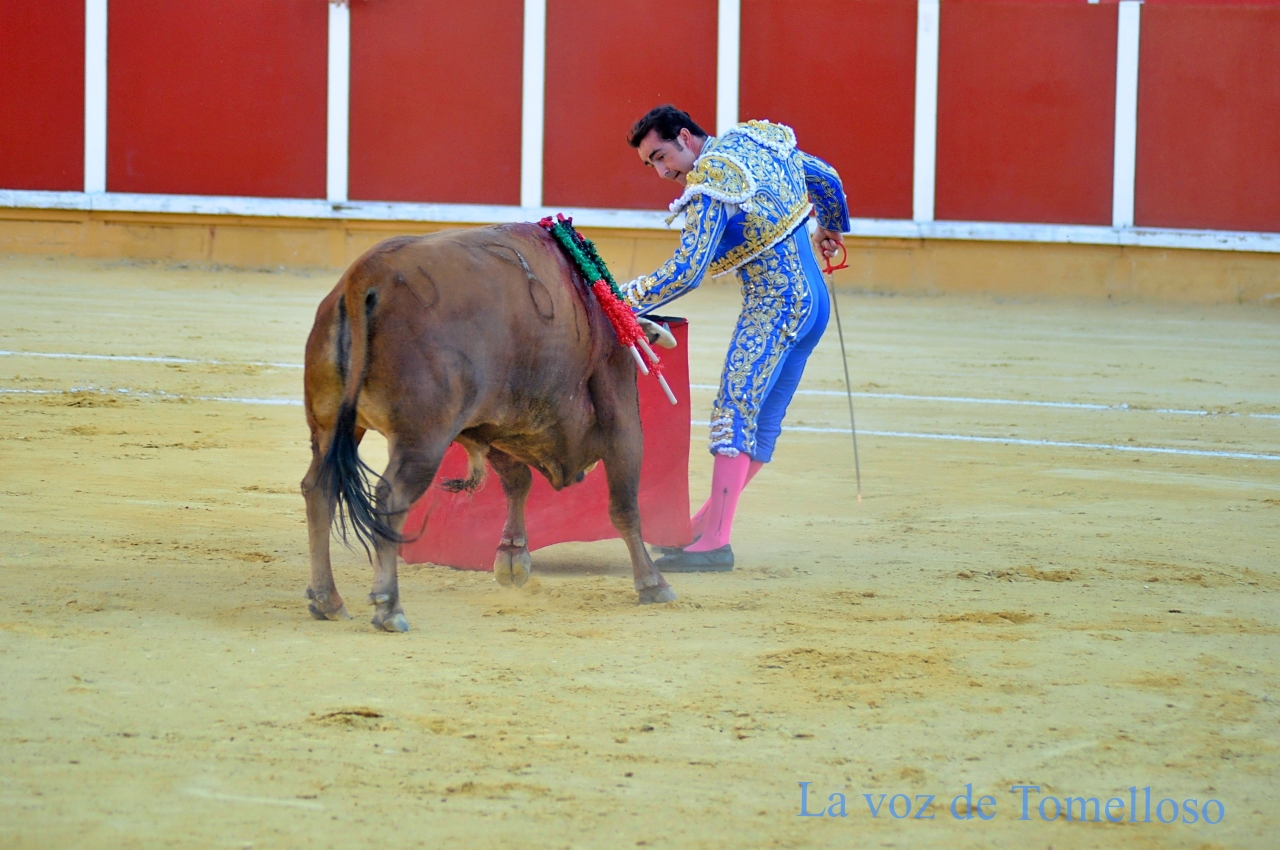 ob.imagen.Descripcion