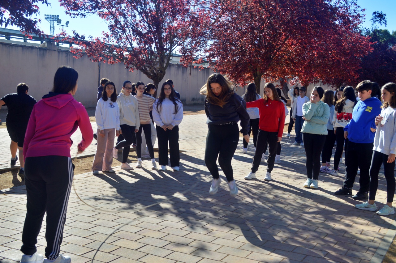 ob.imagen.Descripcion