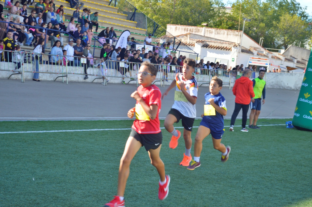 ob.imagen.Descripcion