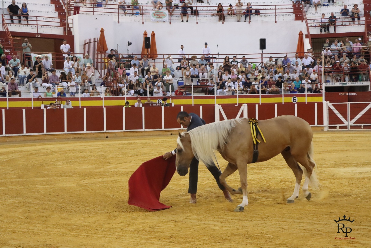 ob.imagen.Descripcion