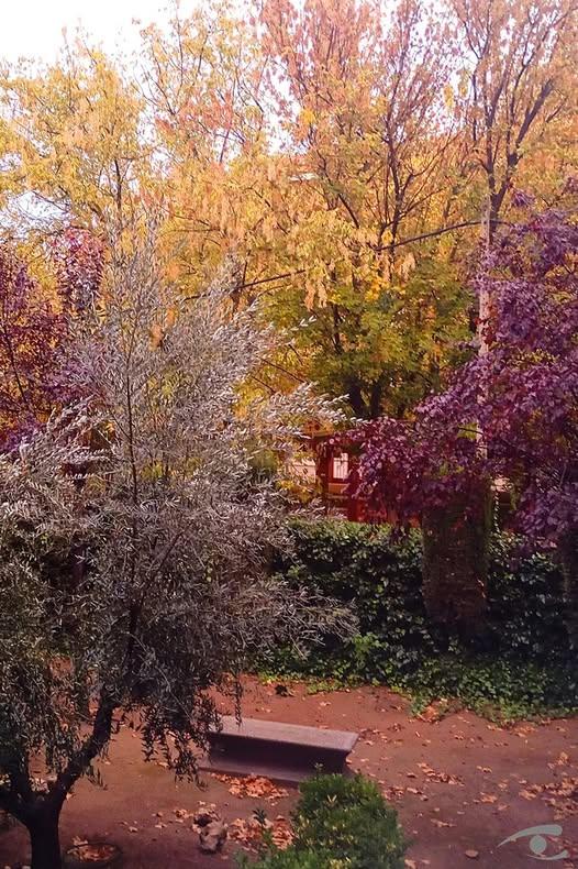 ob.imagen.Descripcion