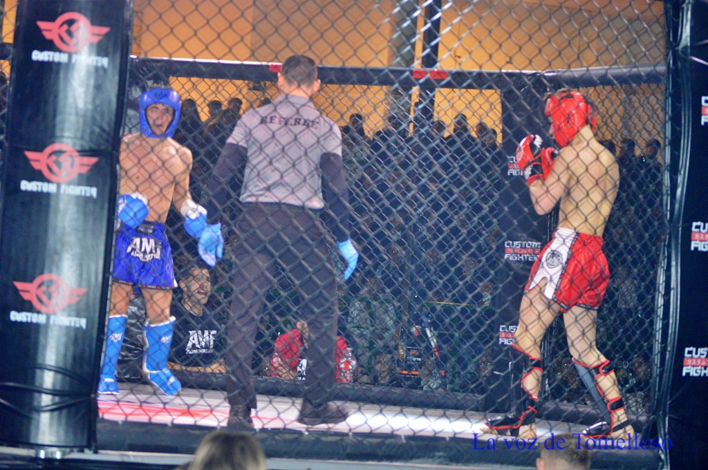 ob.imagen.Descripcion