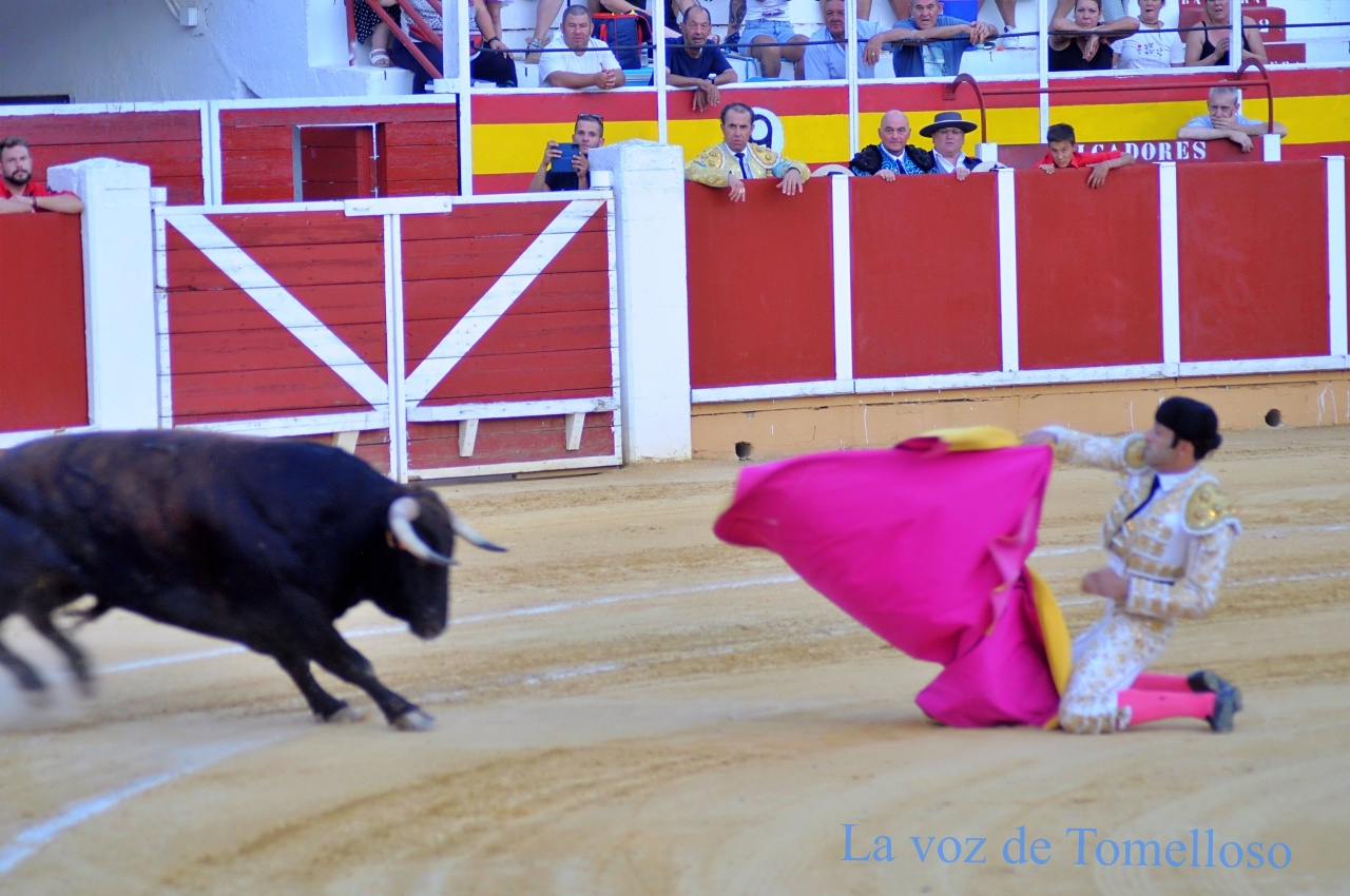 ob.imagen.Descripcion