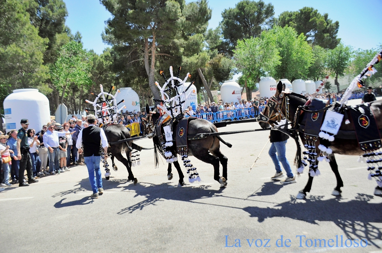 ob.imagen.Descripcion