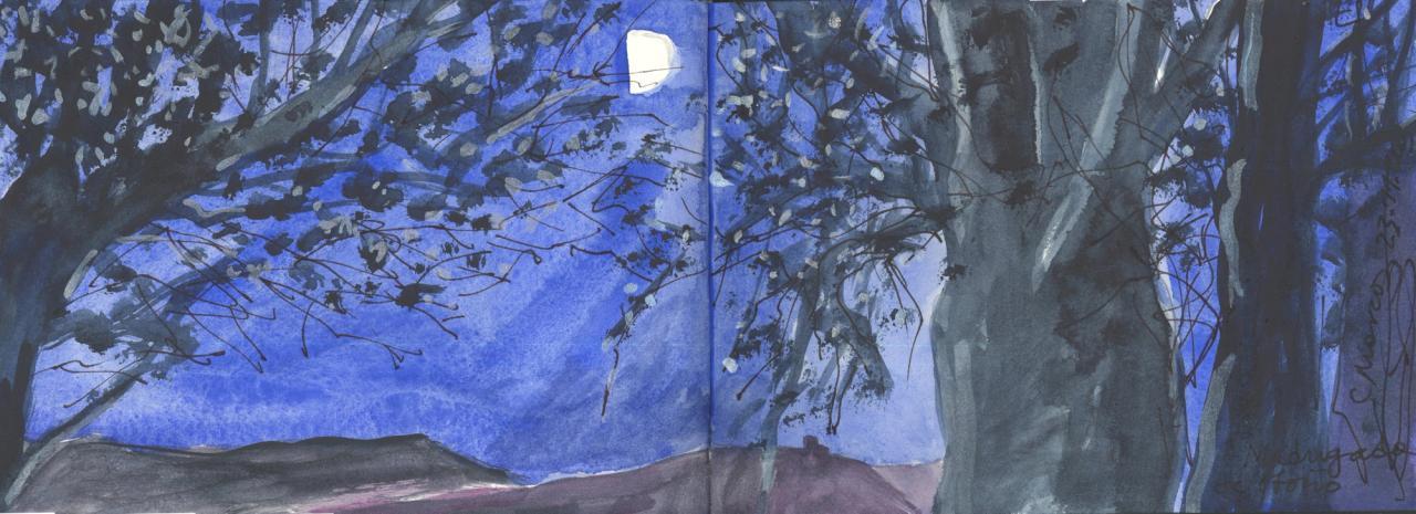 ob.imagen.Descripcion