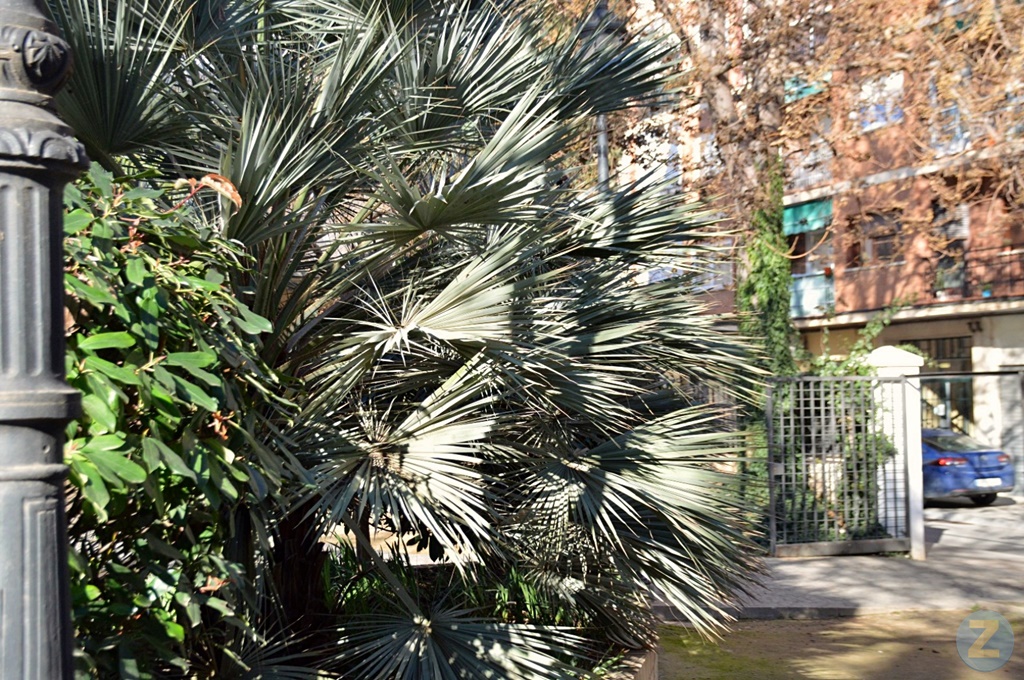 ob.imagen.Descripcion