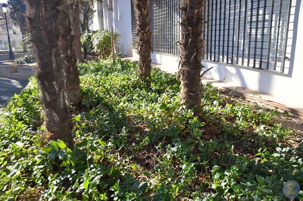 ob.imagen.Descripcion