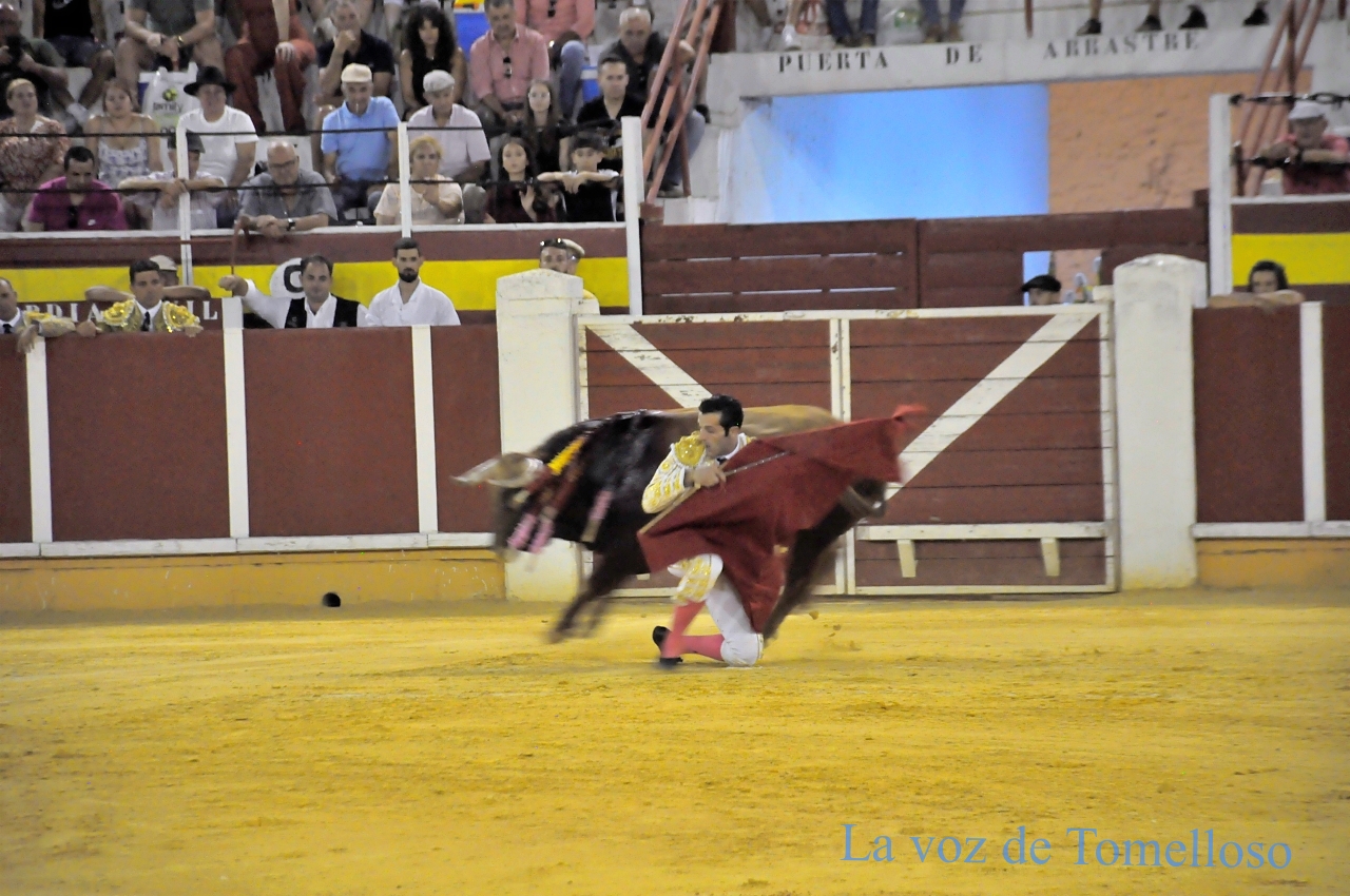 ob.imagen.Descripcion