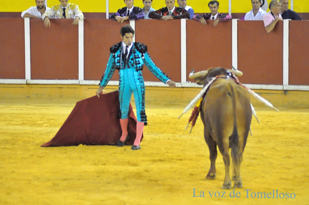 ob.imagen.Descripcion