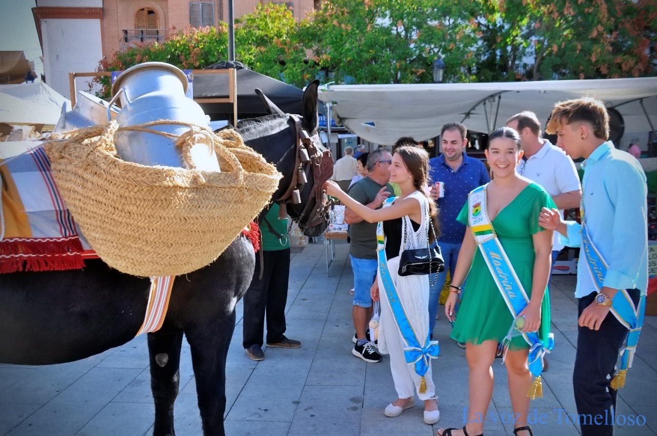 ob.imagen.Descripcion