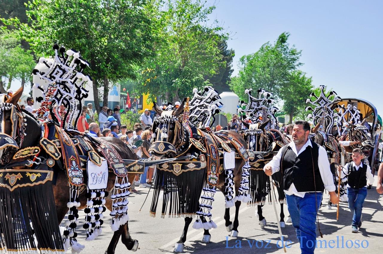 ob.imagen.Descripcion