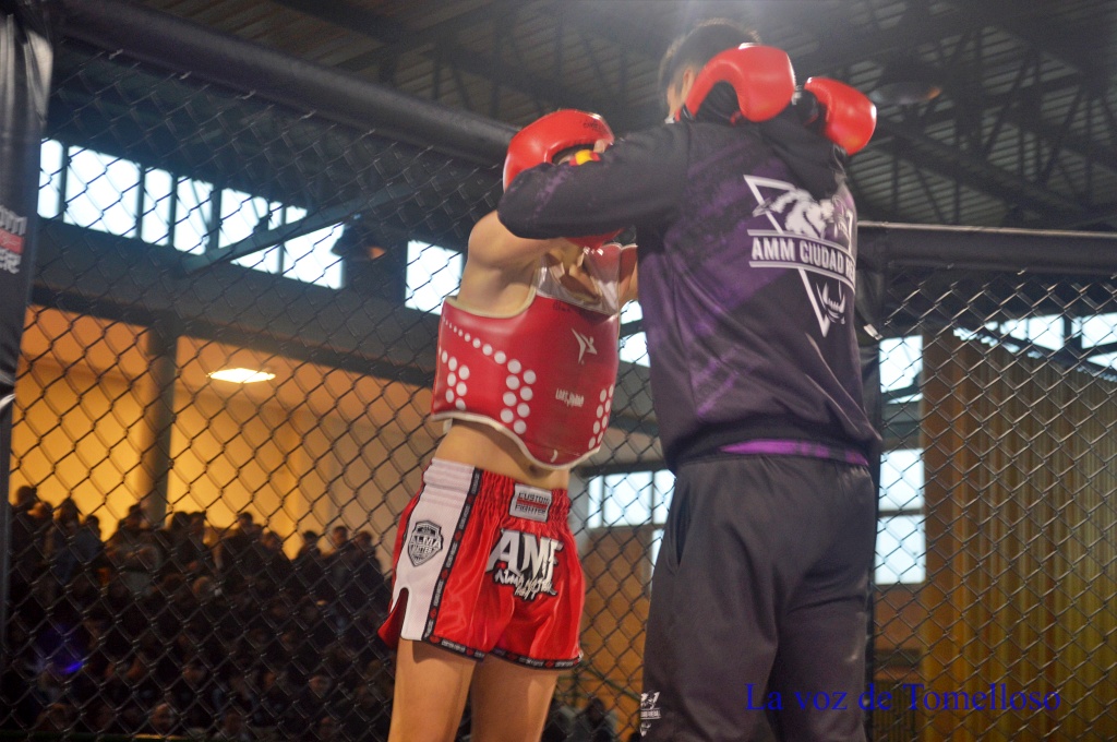 ob.imagen.Descripcion