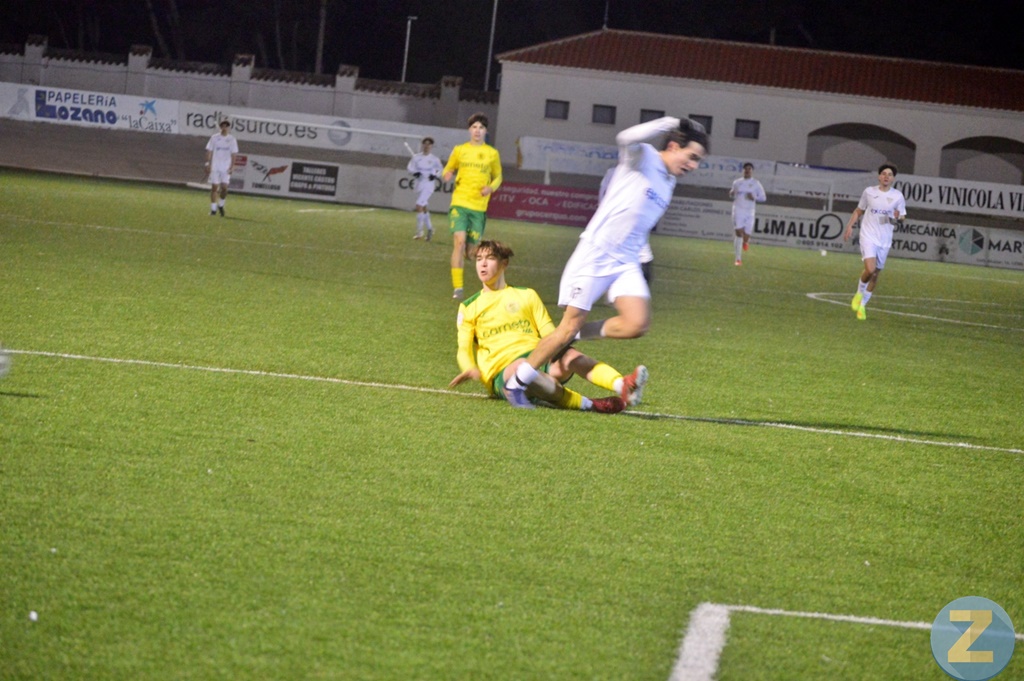 ob.imagen.Descripcion