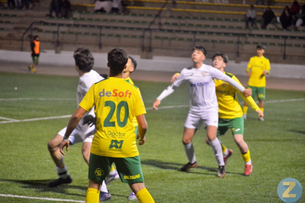 ob.imagen.Descripcion