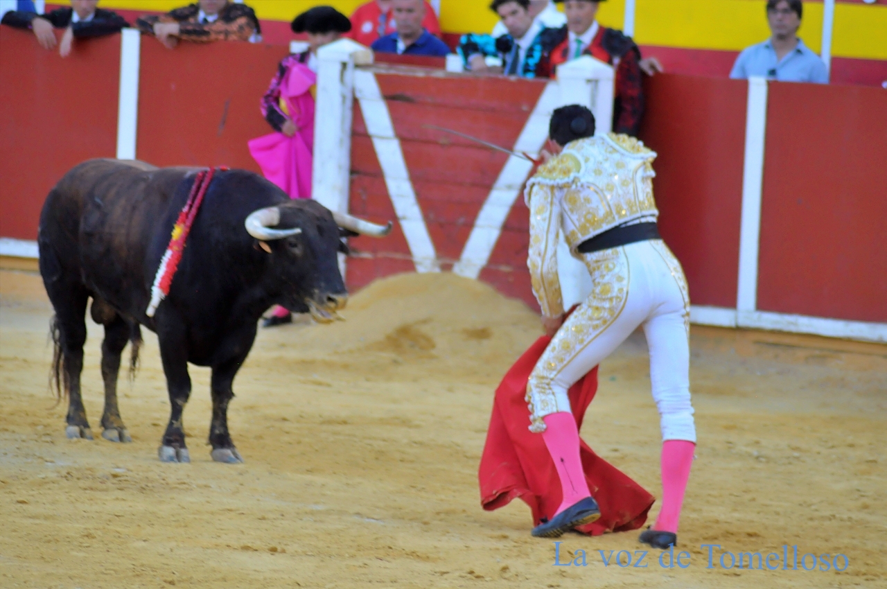 ob.imagen.Descripcion