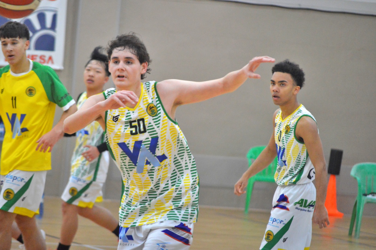 ob.imagen.Descripcion