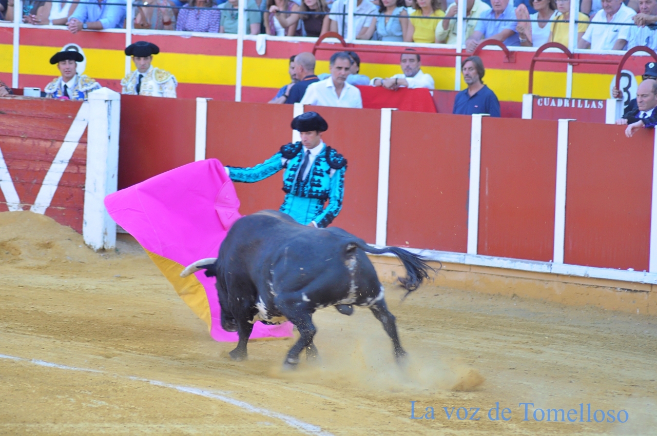 ob.imagen.Descripcion