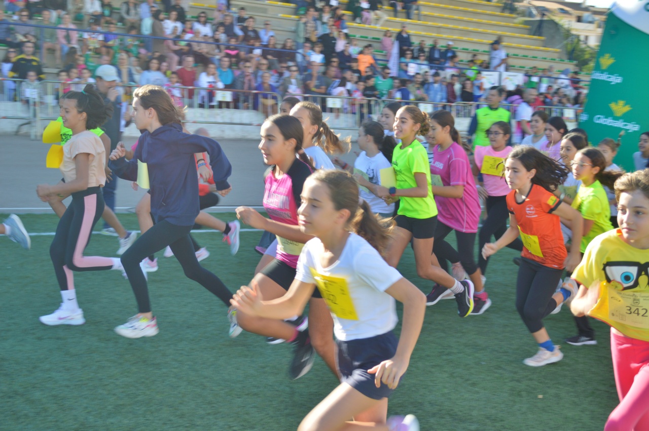 ob.imagen.Descripcion