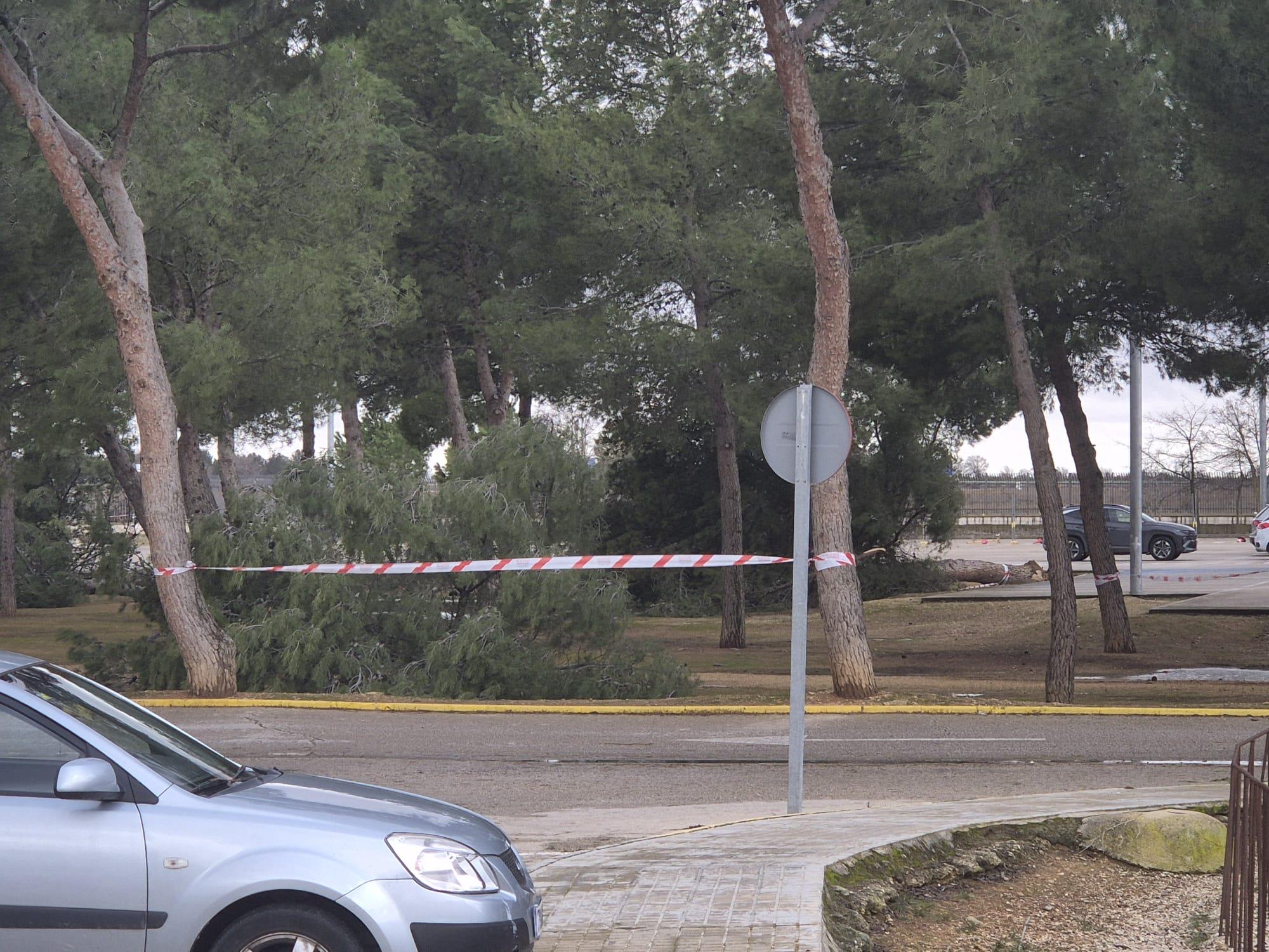 ob.imagen.Descripcion