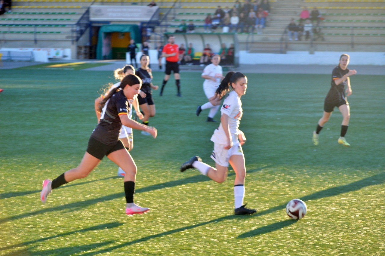 ob.imagen.Descripcion