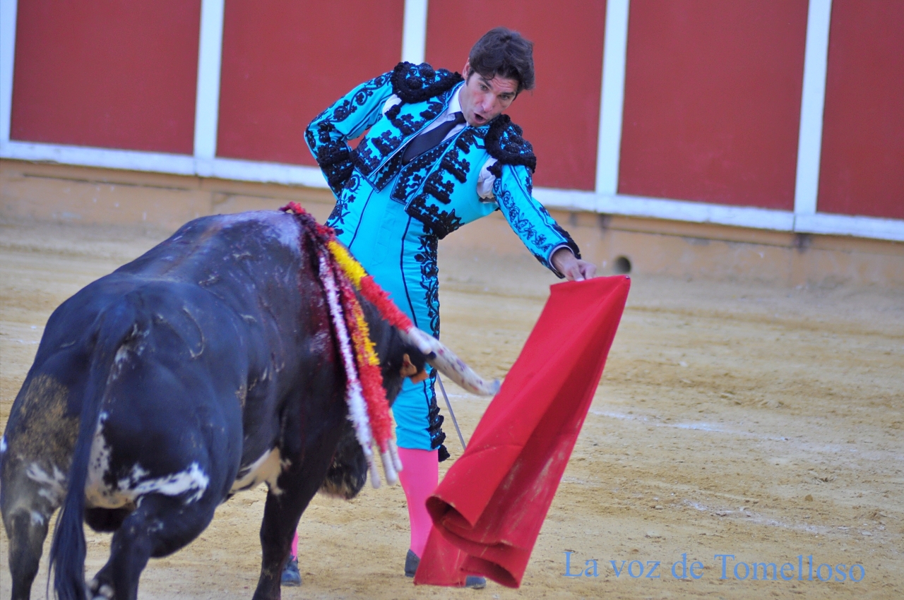 ob.imagen.Descripcion