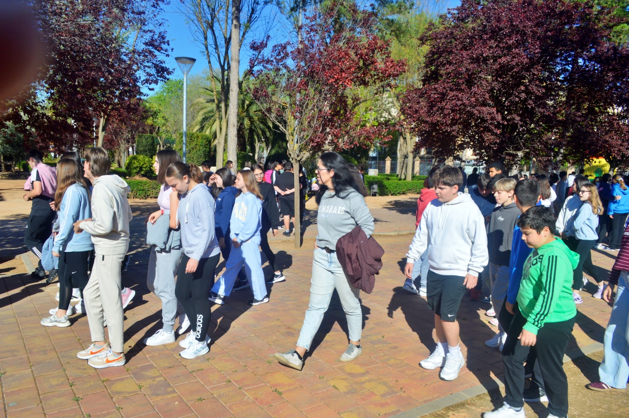 ob.imagen.Descripcion