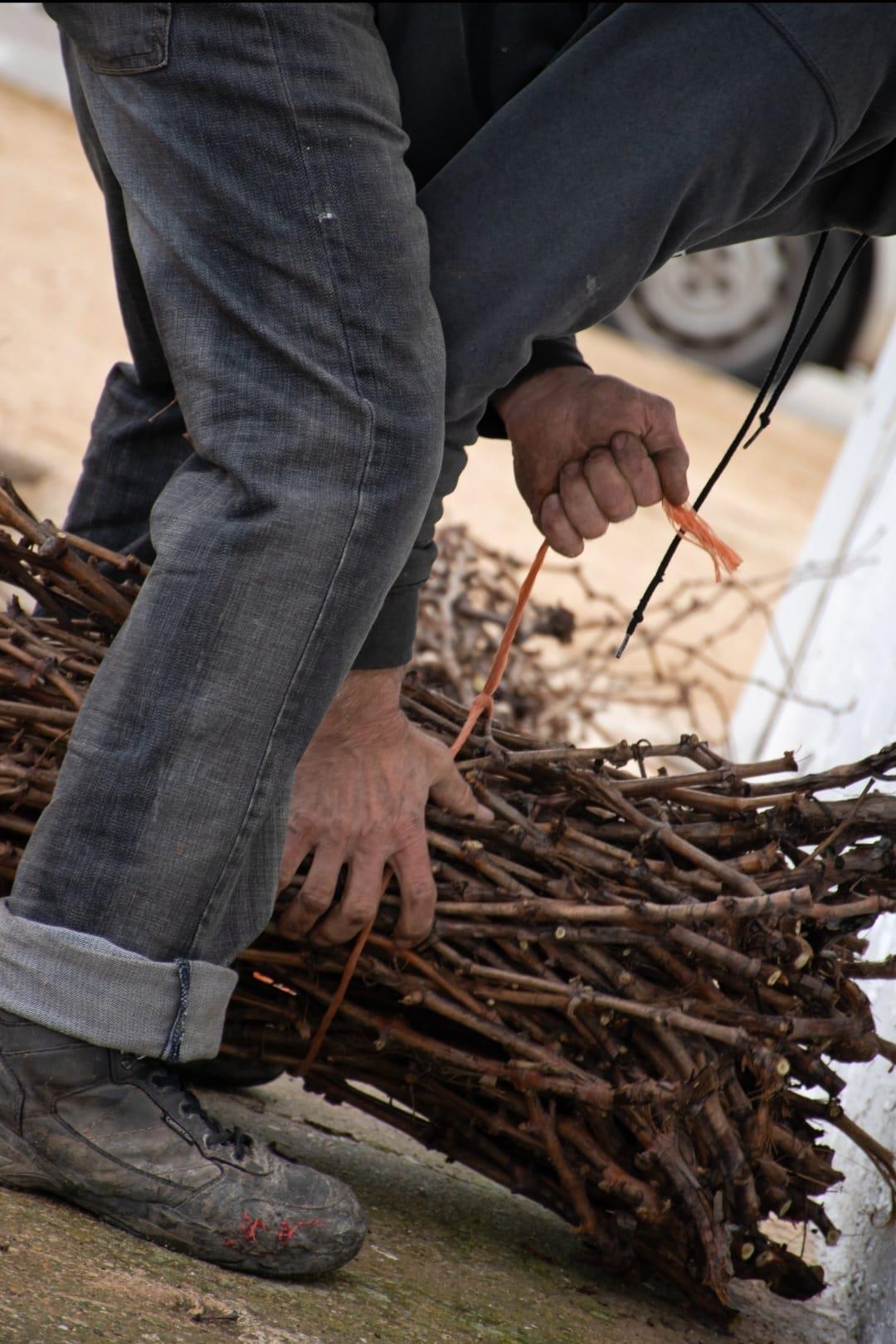 ob.imagen.Descripcion