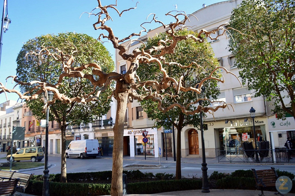 ob.imagen.Descripcion