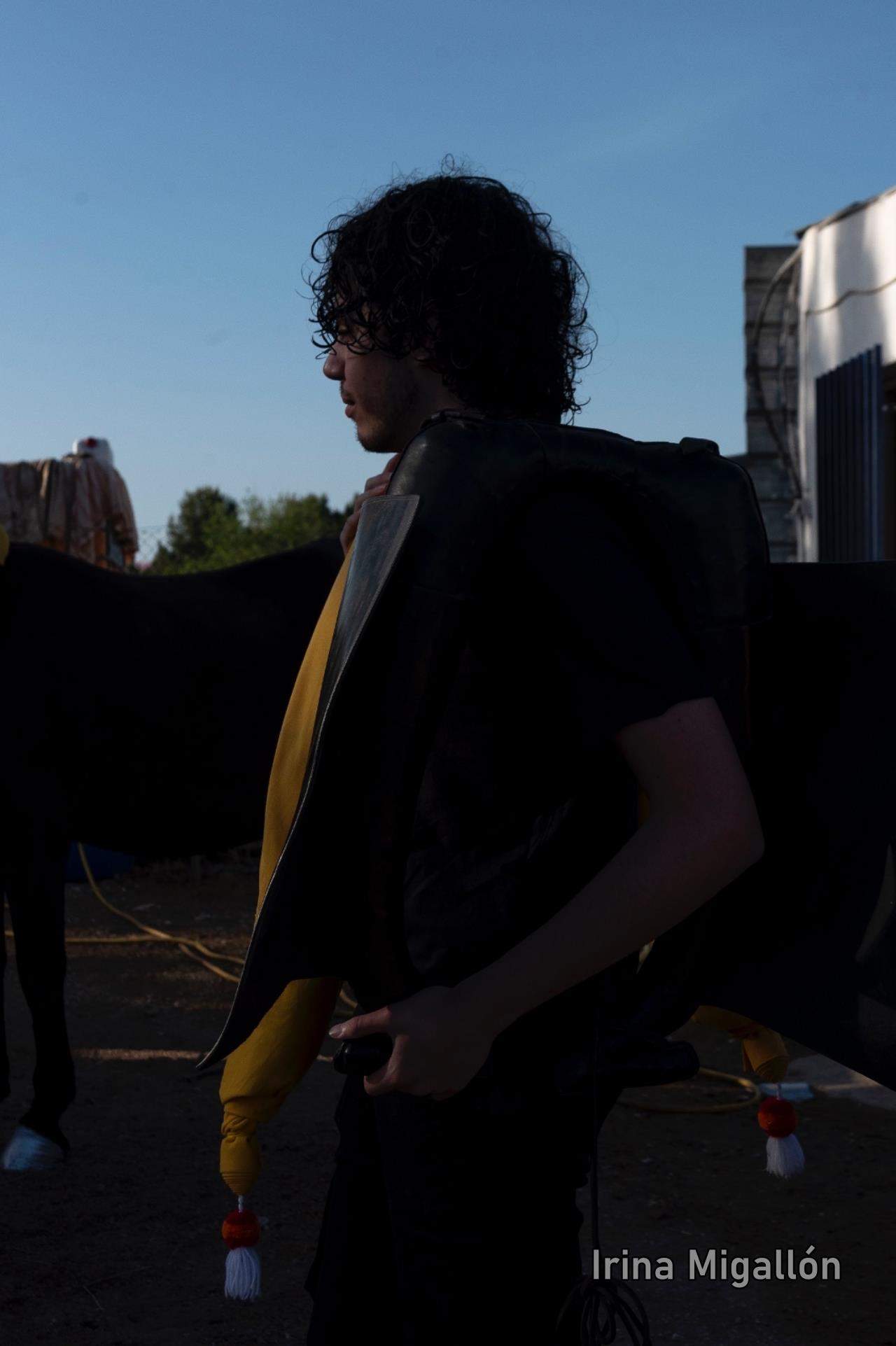 ob.imagen.Descripcion