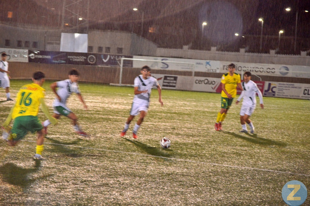 ob.imagen.Descripcion