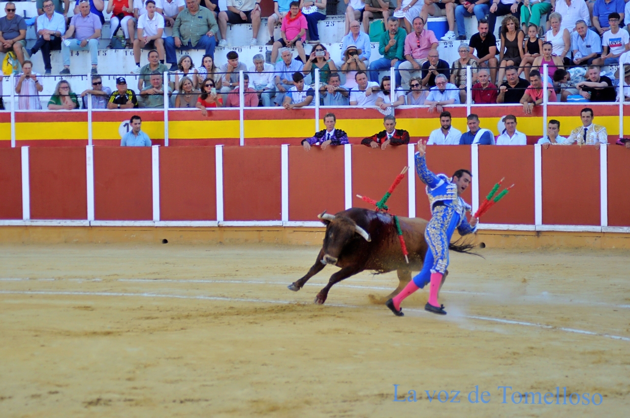ob.imagen.Descripcion