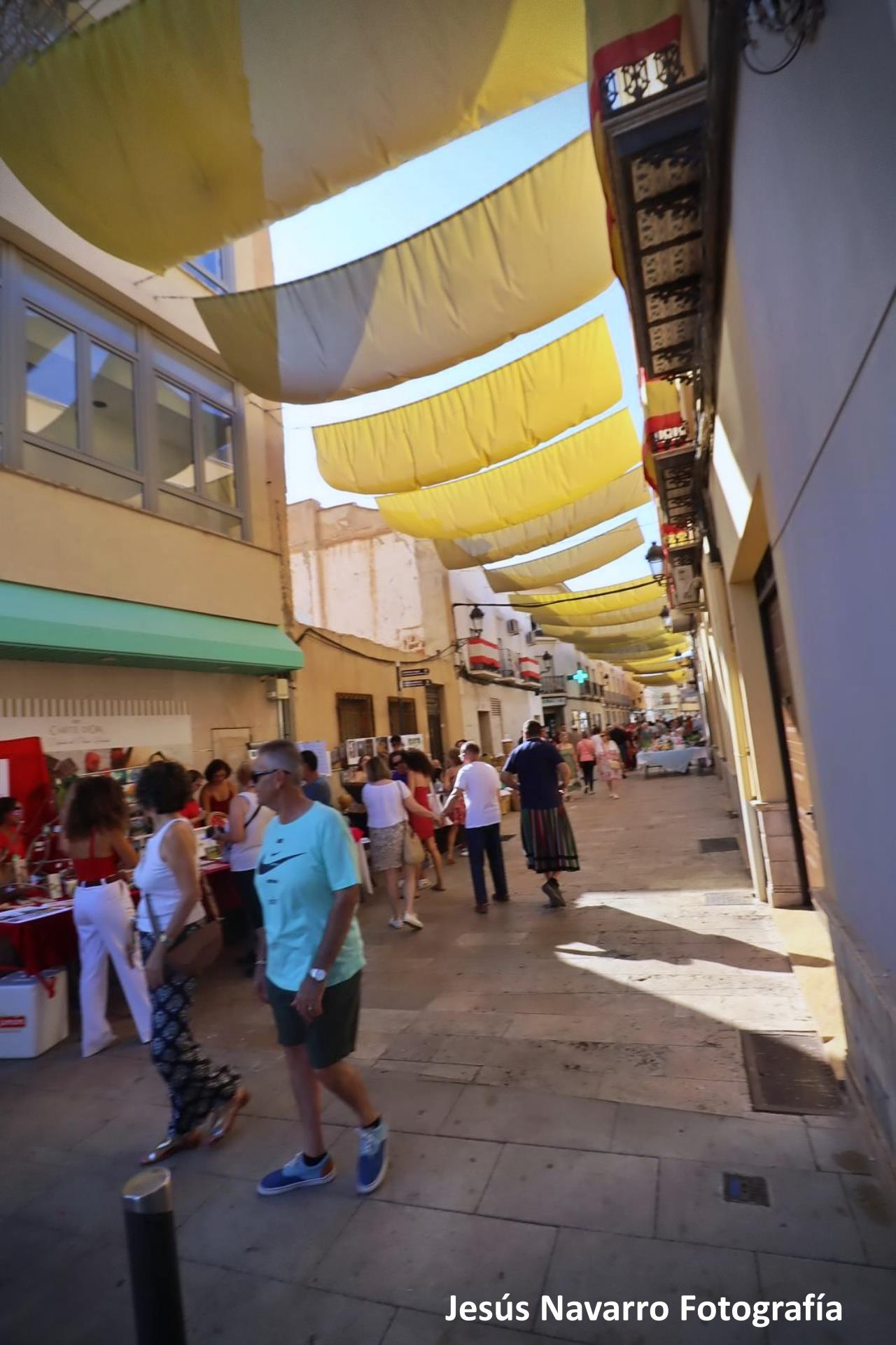 ob.imagen.Descripcion