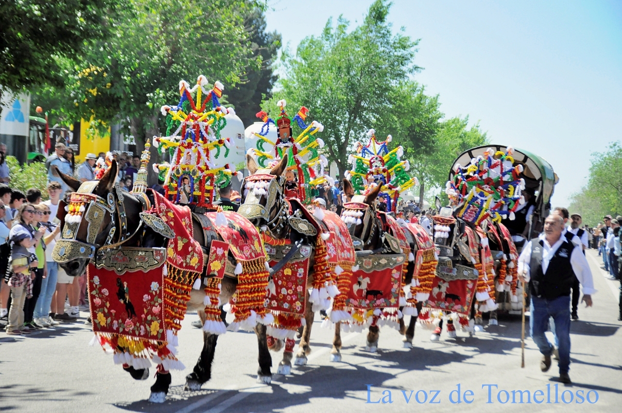 ob.imagen.Descripcion