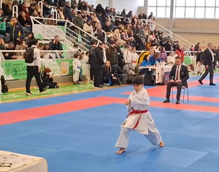 ob.imagen.Descripcion